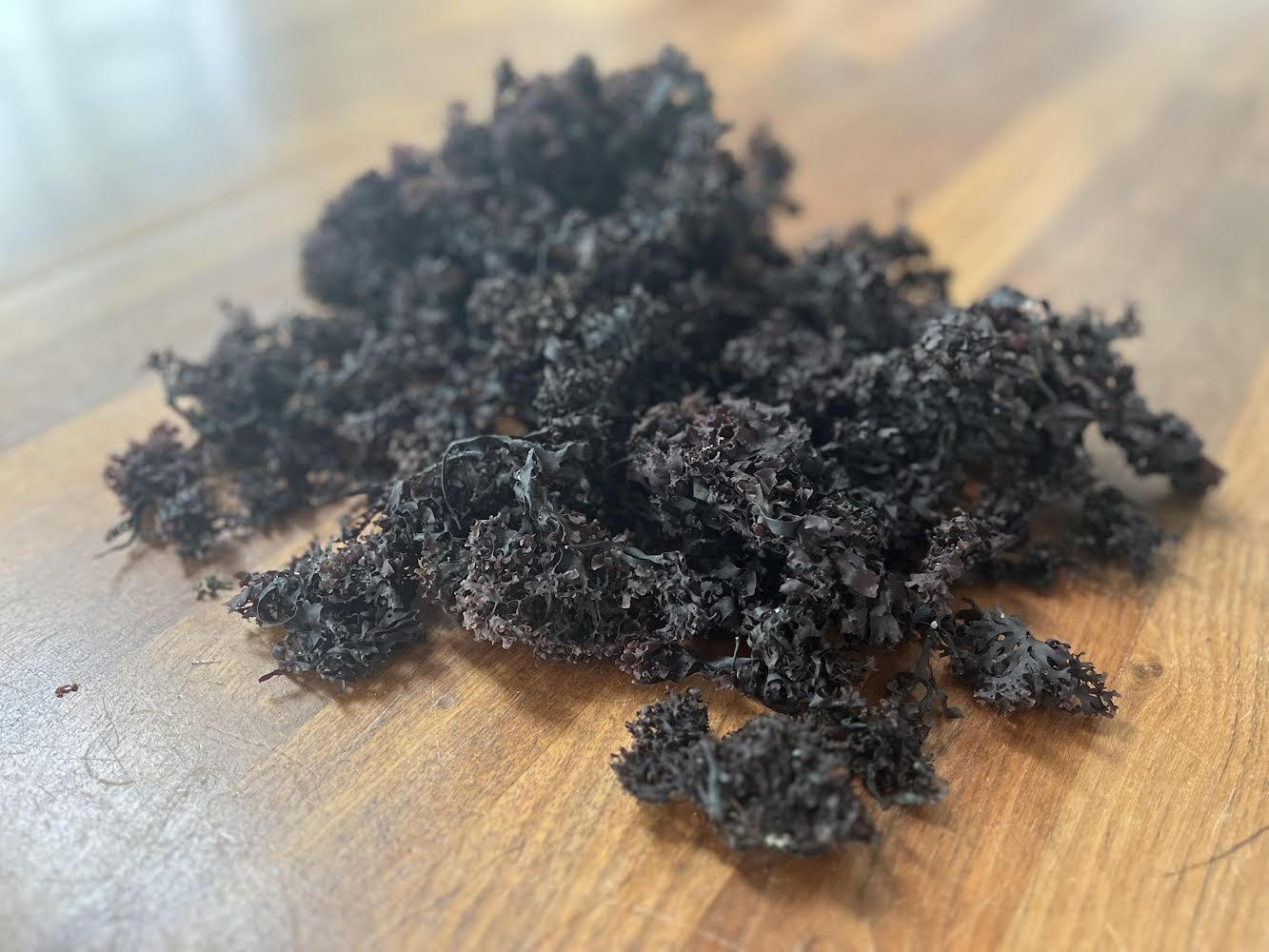 Wild Sea Moss (Chondrus Crispus)